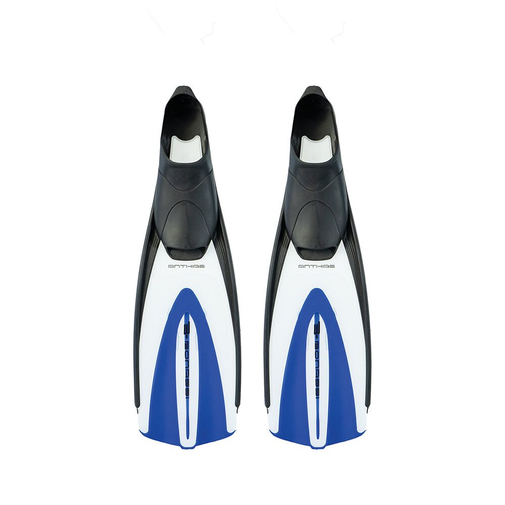 anthias-fins-double anthias-fins-double