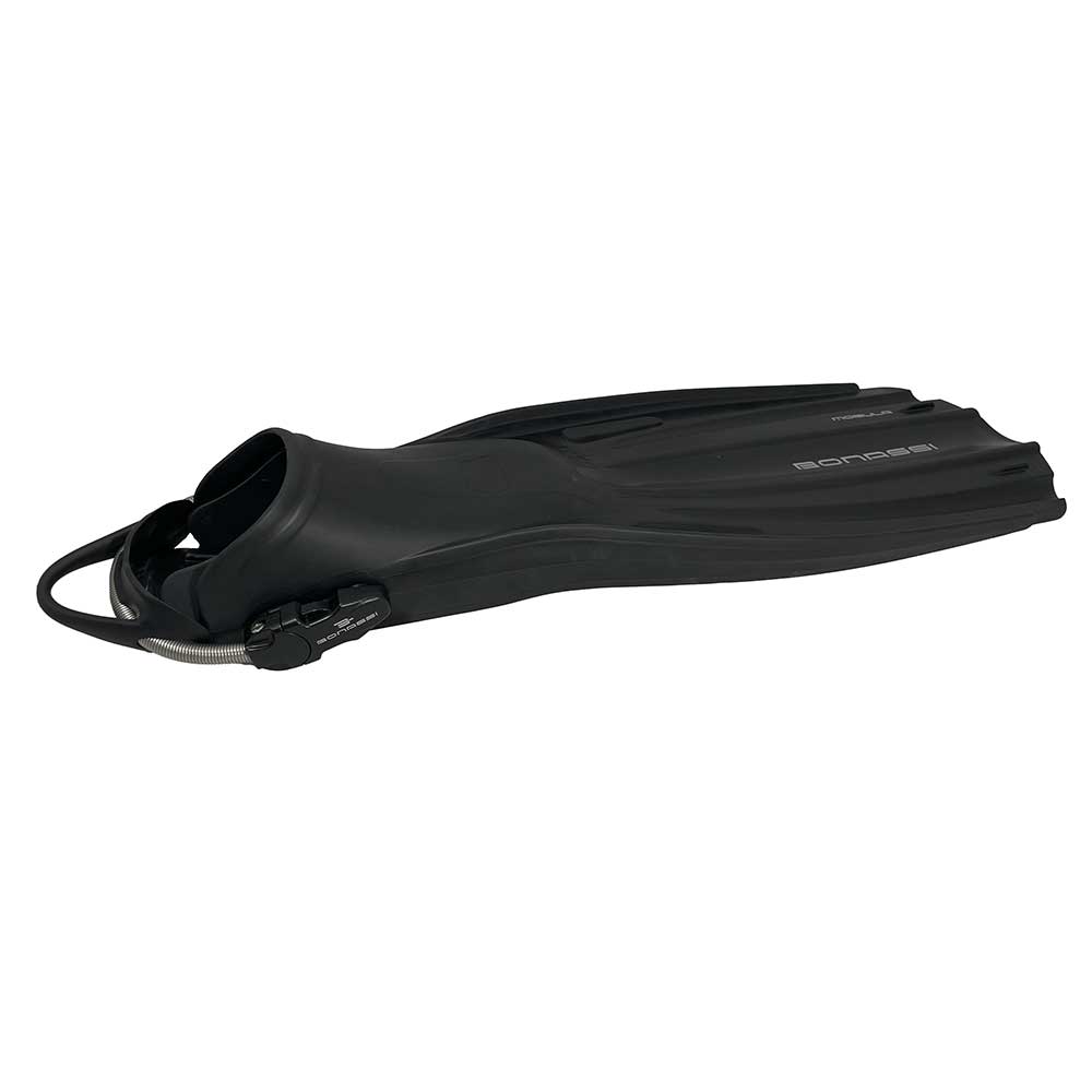 Bonassi-mobula-fins-black-back Bonassi-mobula-fins-black-back