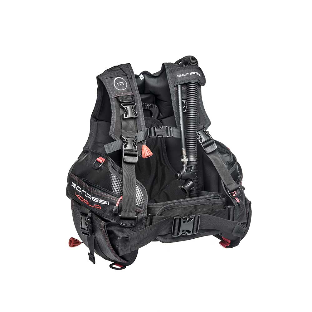 bonassi-koala-bcd-1 bonassi-koala-bcd-1