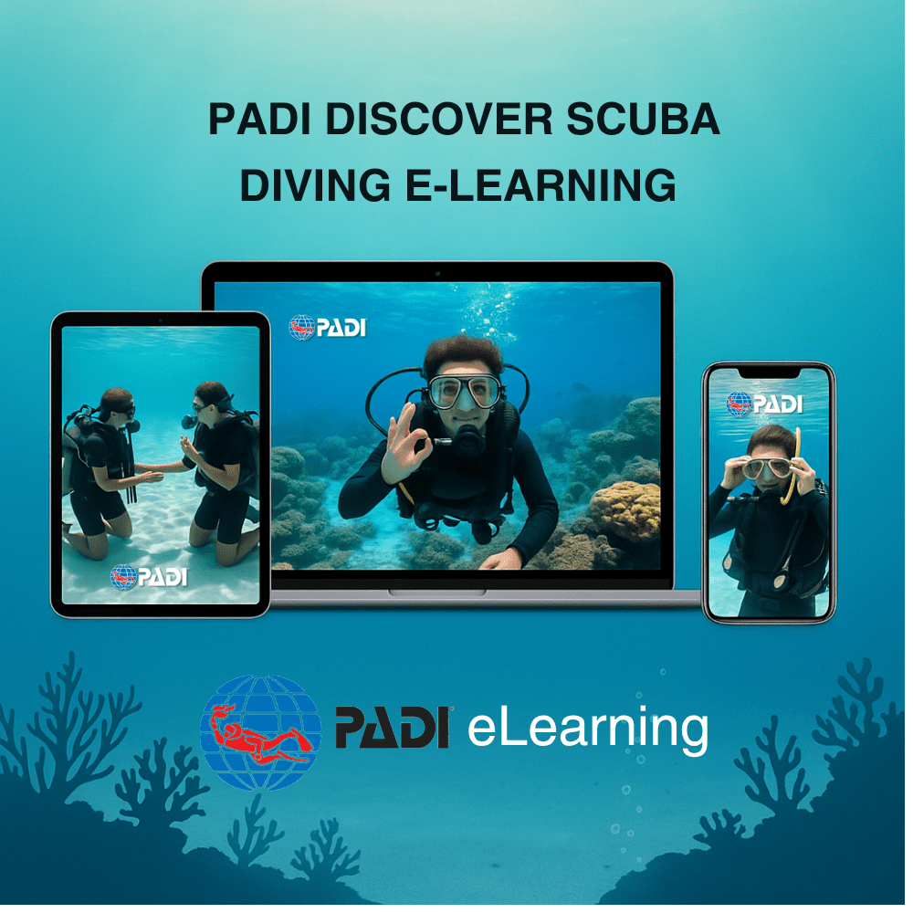 PADI Discover Scuba Diving eLearning Course Image – Magna Divers Beginner Scuba Divers Underwater During PADI Discover Scuba Diving eLearning Experience